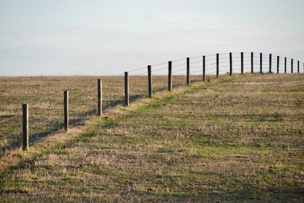 teren ocupat abuziv împrejmuit cu gard