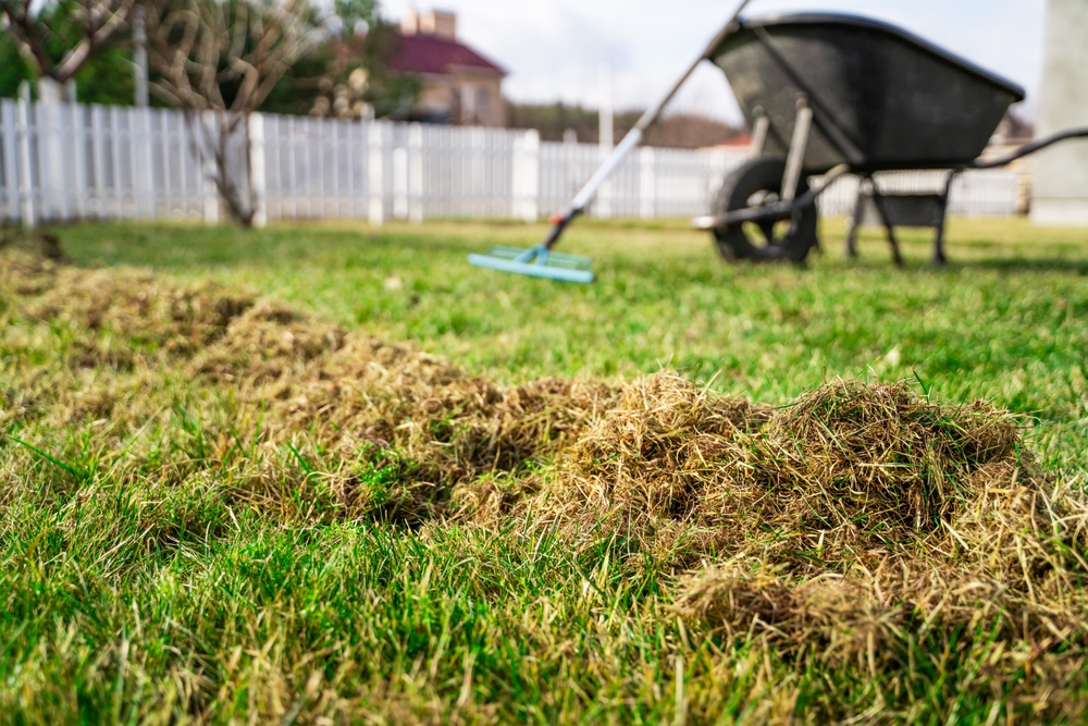 resturi vegetale adunate in curte cu roaba curățenia de primăvara din curte