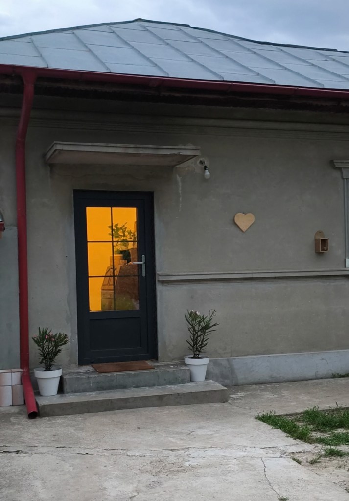 Oana și Daniel încă lucrează la renovarea unei case vechi de peste 60 de ani