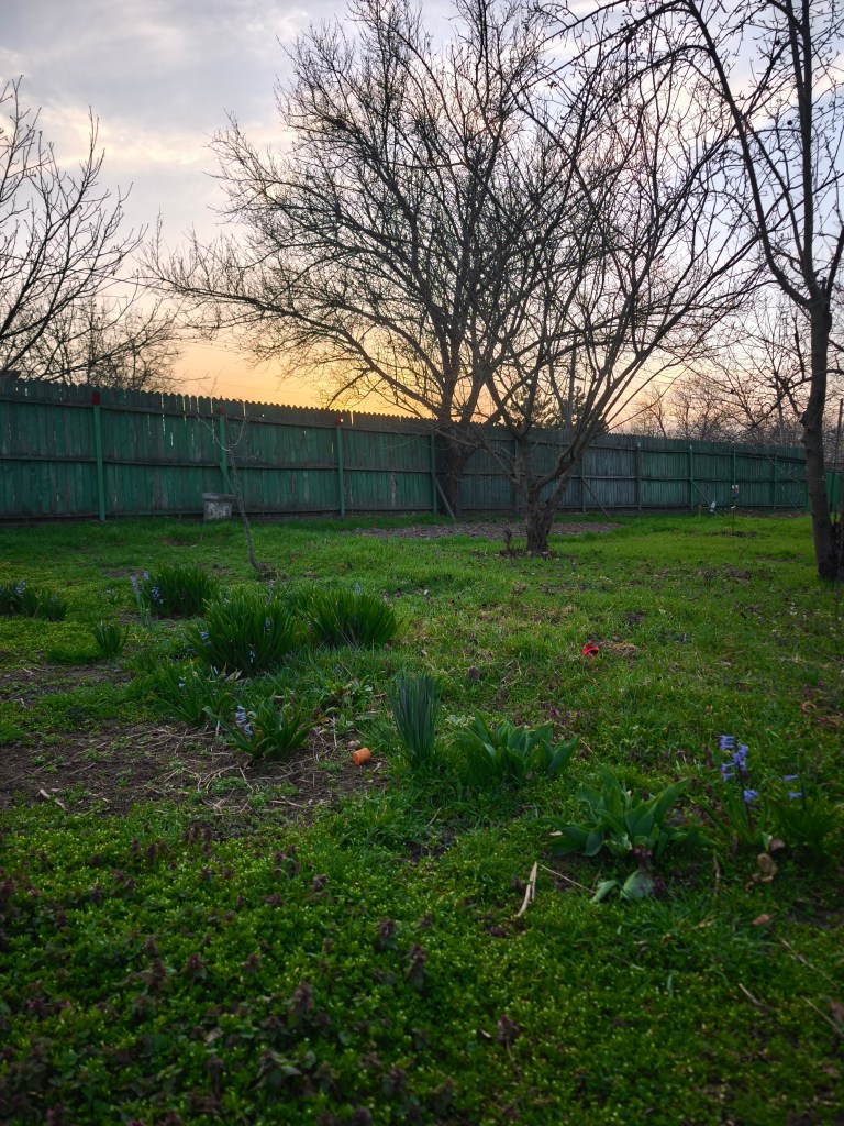 Oana și Daniel încă lucrează la renovarea unei case vechi de peste 60 de ani