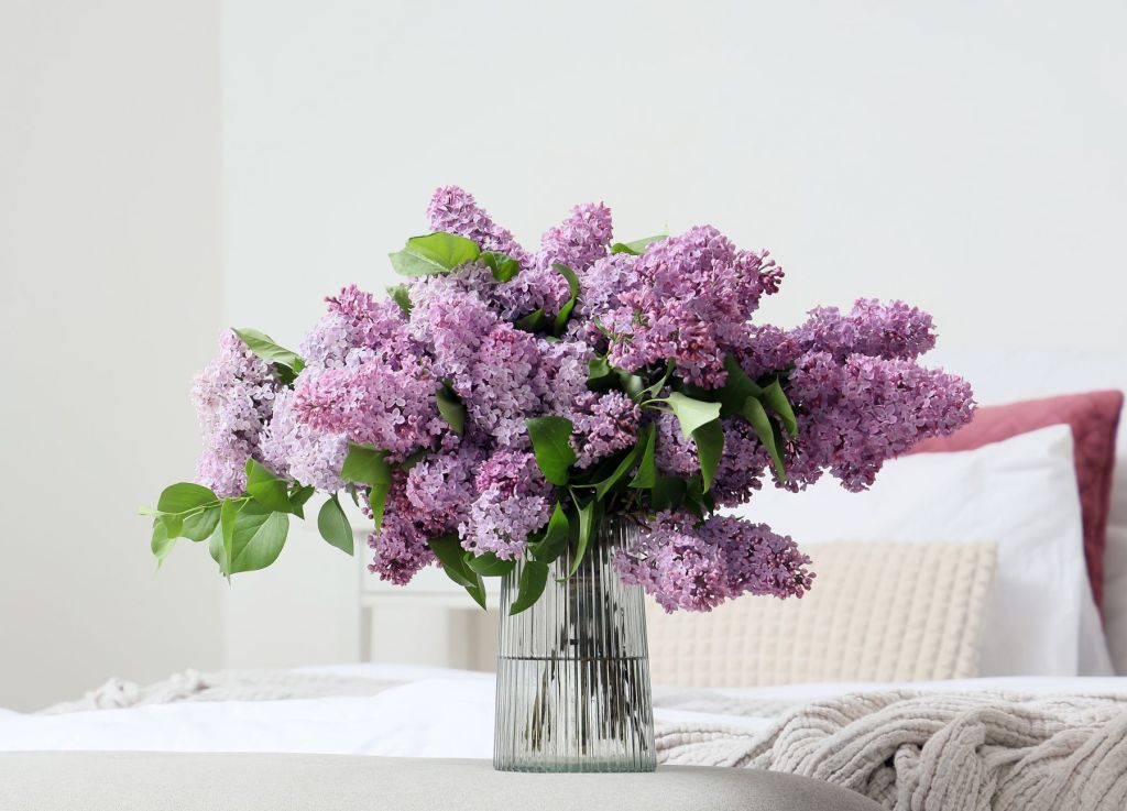 buchet de flori de liliac in vaza transparenta cu apa intr-un dormitor cu pereti albi si un pat cu cearsafuri albe