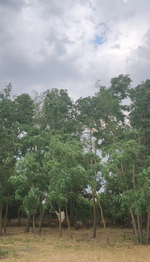 Proprietarii s-au acupat și se ocupă singuri de renovarea casei