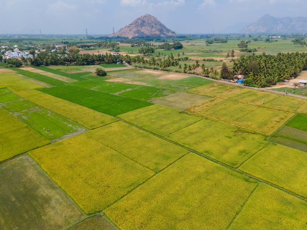 teren agricol extravilan verde 