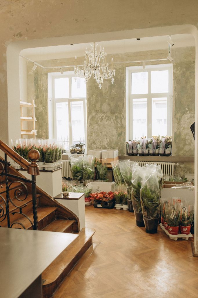 Cum arăta casa Siminei Mezincescu, înainte să devină Casa Plantelor by Floral Soul. FOTO: Nadya Glo