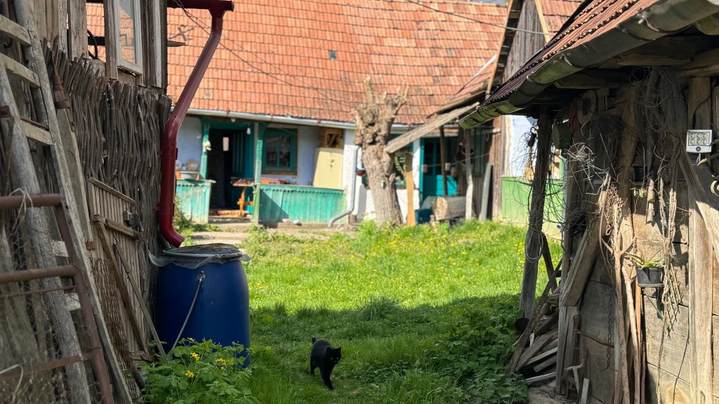 Întreaga investiție a dus-o la aproximativ 35.000 de euro