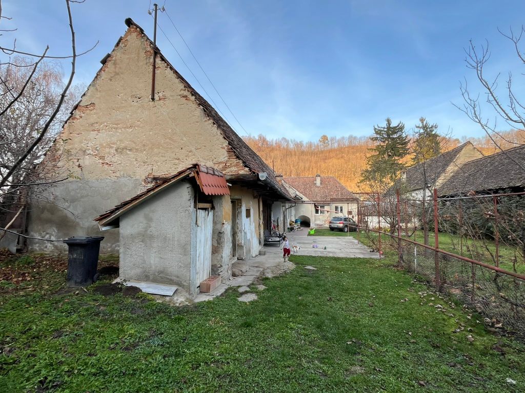 Andreea și-a găsit casa mult dorită după aproape patru ani de căutări