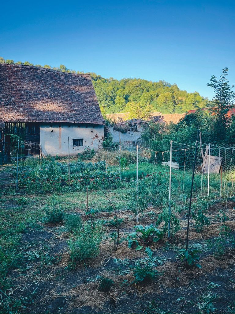 Andreea și-a găsit casa mult dorită după aproape patru ani de căutări