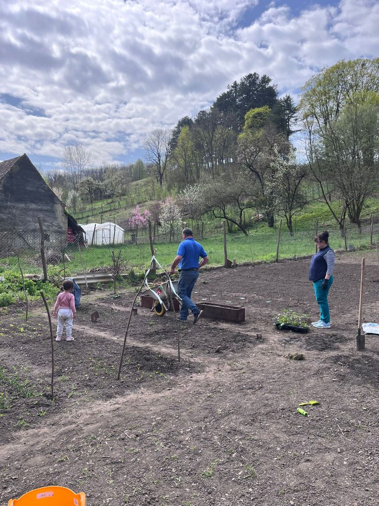 Andreea și soțul ei au început să lucreze la curte și s-au ocupat de o mică grădină de legume