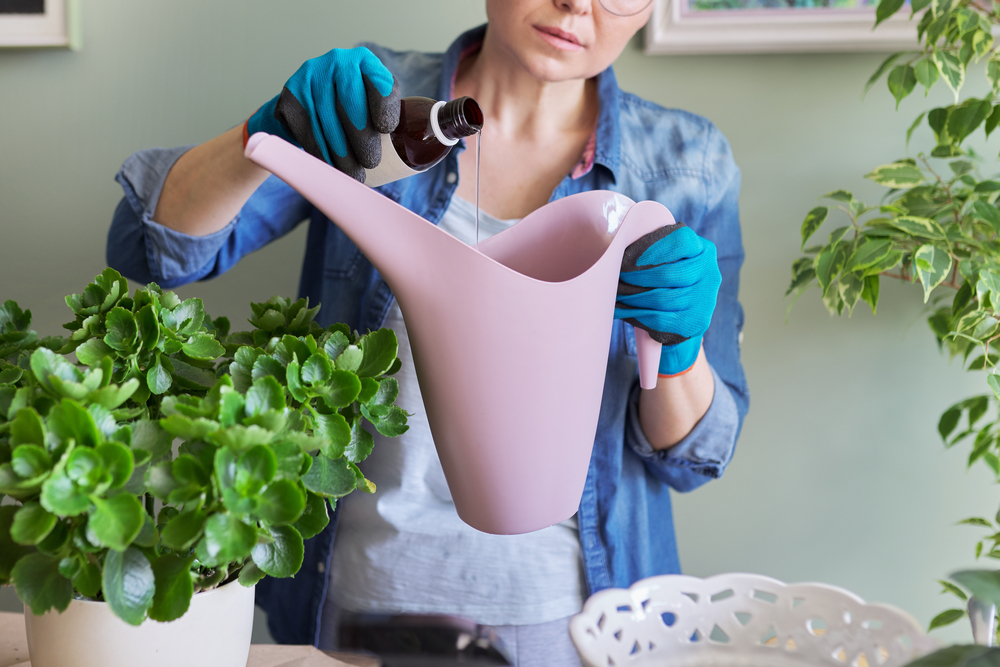apa oxigenata pusă la plante de către femeie