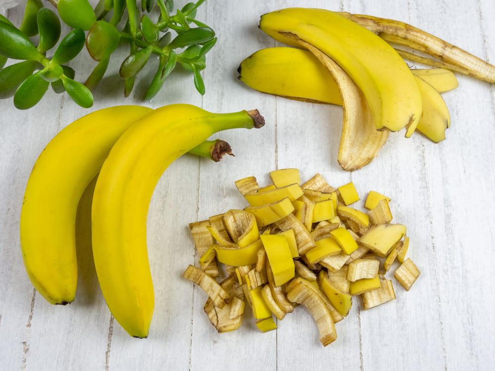 banane si coaja de banana pentru plante pe post de fertilizant natural