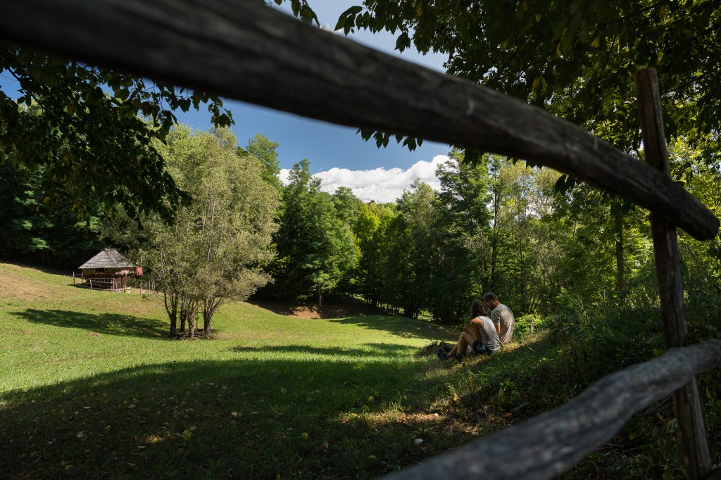 Hodaia reabilitată se află pe o fâneață dintre satul Brădetu și pădure. FOTO: Cătălin Georgescu