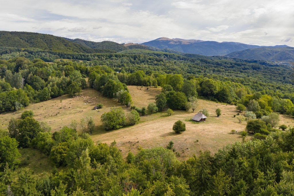 Hodaia reabilitată se află pe o fâneață dintre satul Brădetu și pădure. FOTO: Cătălin Georgescu