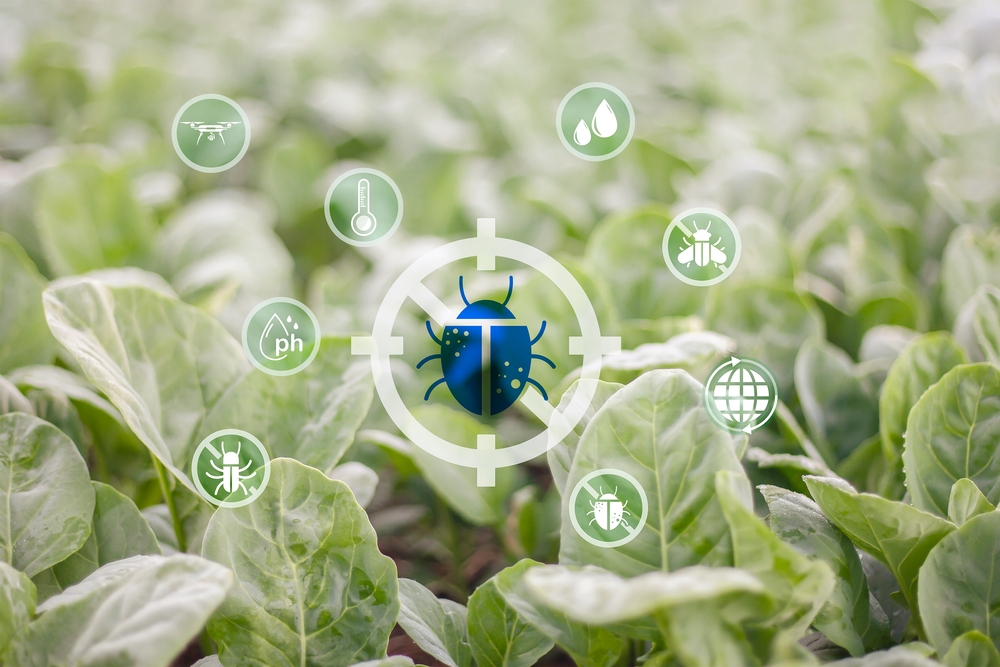Fotografie concept cu fundal de plante în verde pastel deschis cu o insectă suprapusă peste fundal pentru insecticide naturale pentru flori și legume.