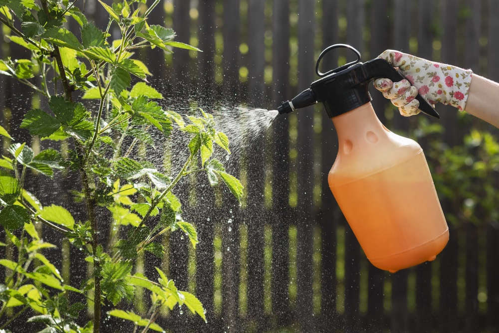 O mână de grădinar cu mănuși înflorate pulverizează insecticide naturale pentru legume pe un arbust. 