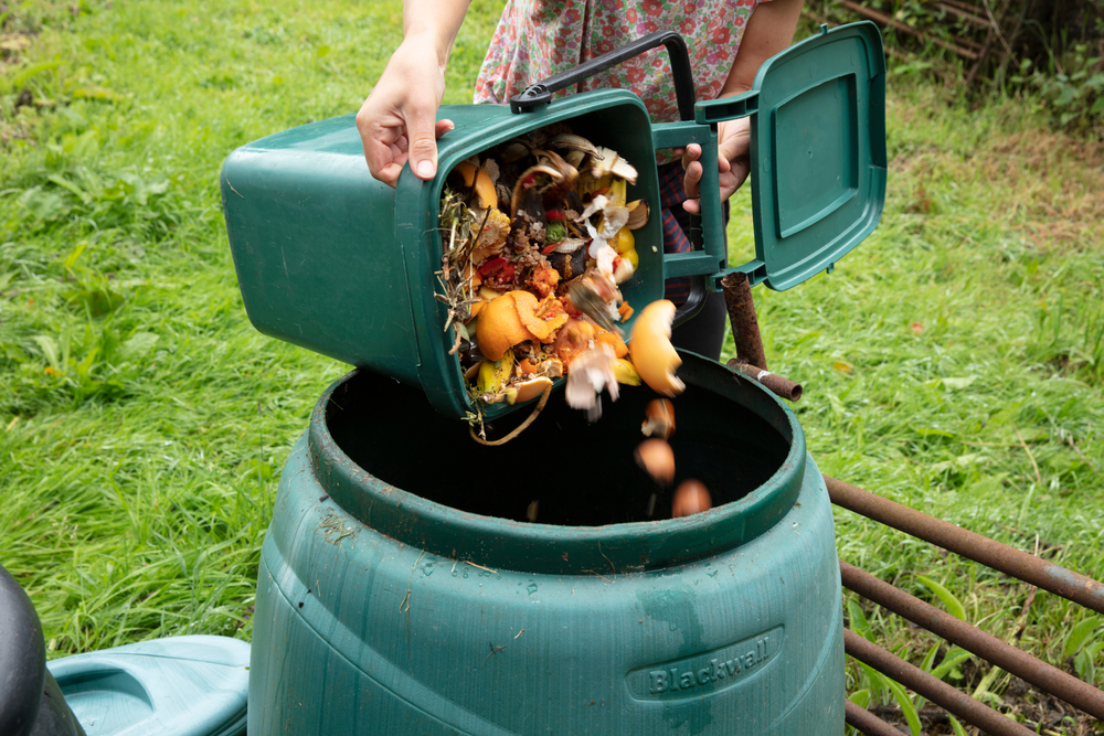 compost in butoi