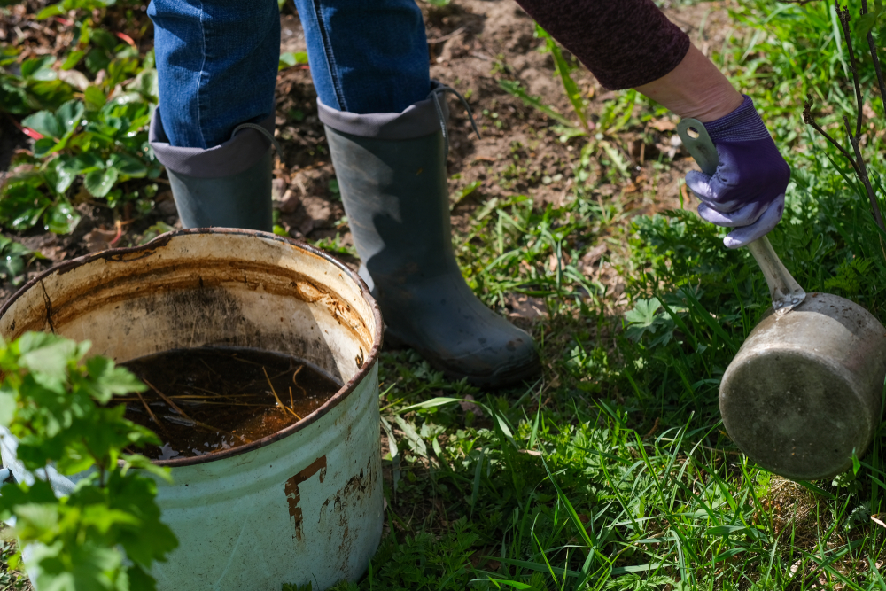 ceai de compost fertilizare sol si plante