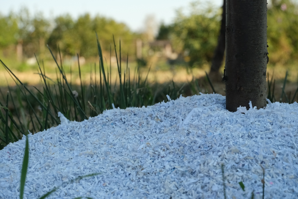 hârtie mărunțită compost