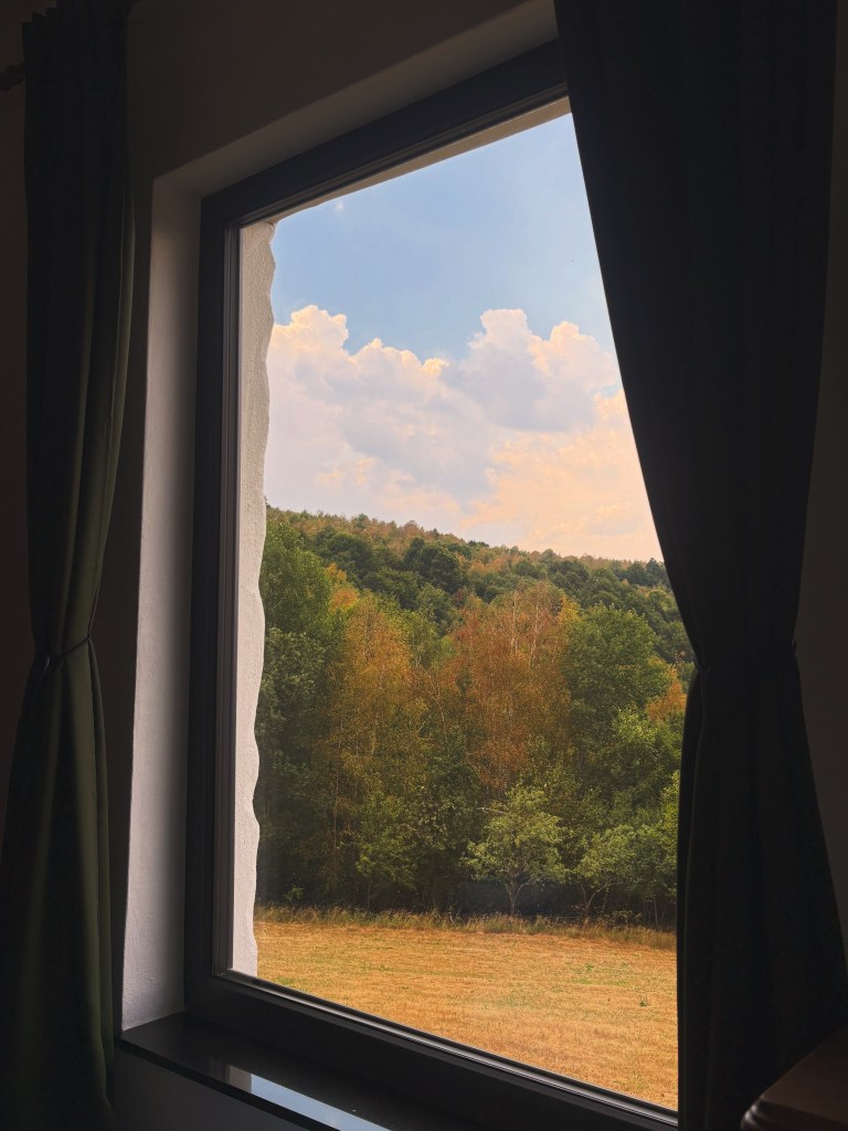 Raul a gândit design-ul, inspirat de proiectele văzute pe Instagram sau Pinterest