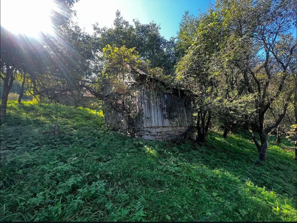 Tânărul încă mai are de lucrat la partea de peisagistică