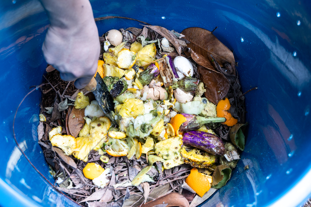 compost in butoi