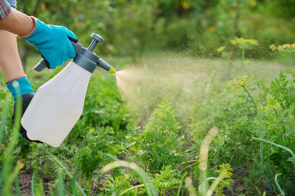 insecticid grădină 