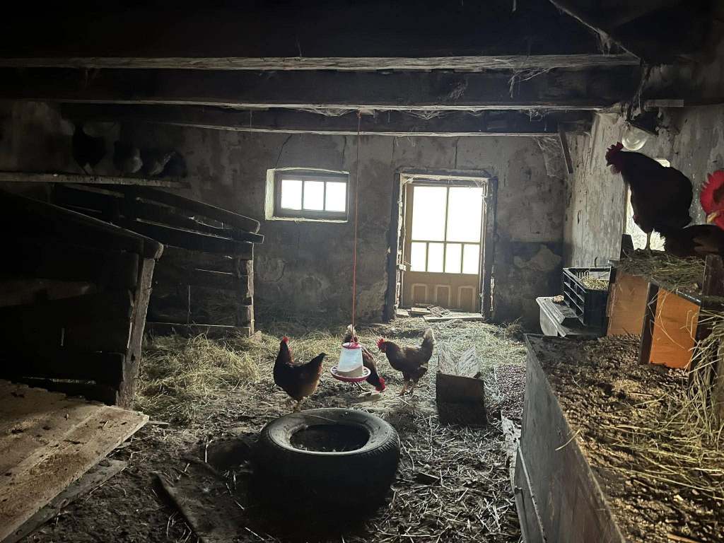Cei doi au animale și o grădină de care se ocupă