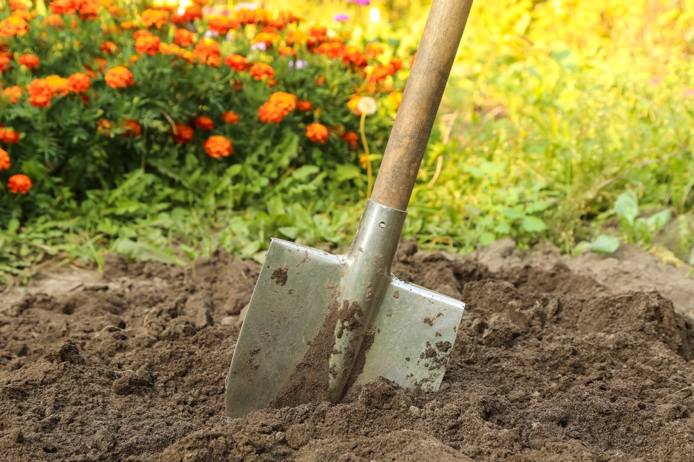 săpare pământ grădină de legume si flori